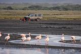 TANZANIA - Lake Natron - 059